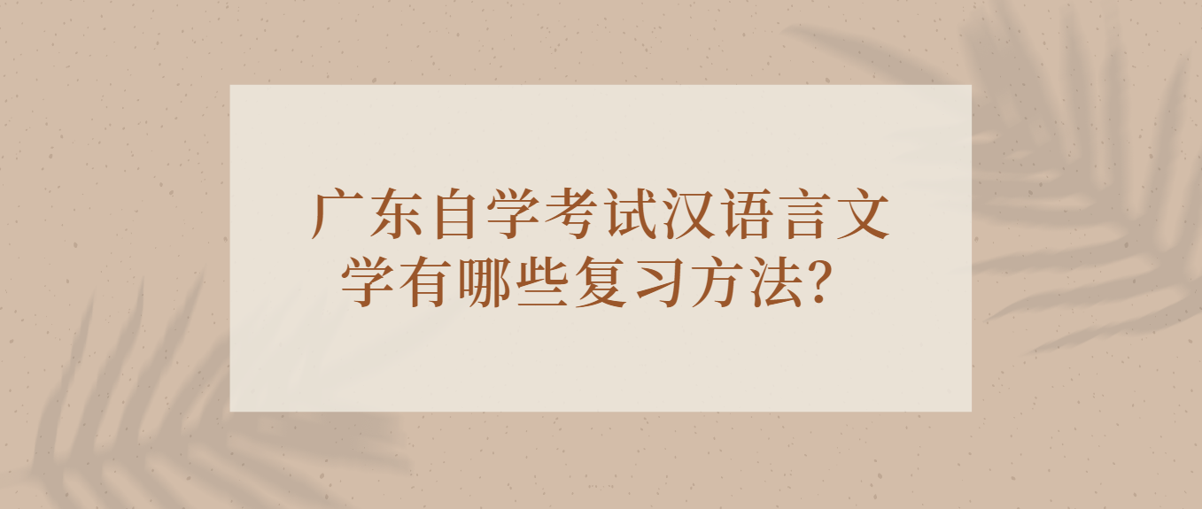 广东自学考试汉语言文学有哪些复习方法？