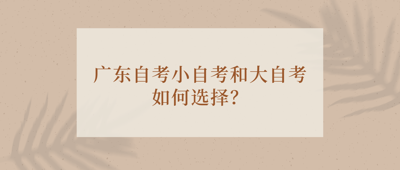 广东自考小自考和大自考如何选择？
