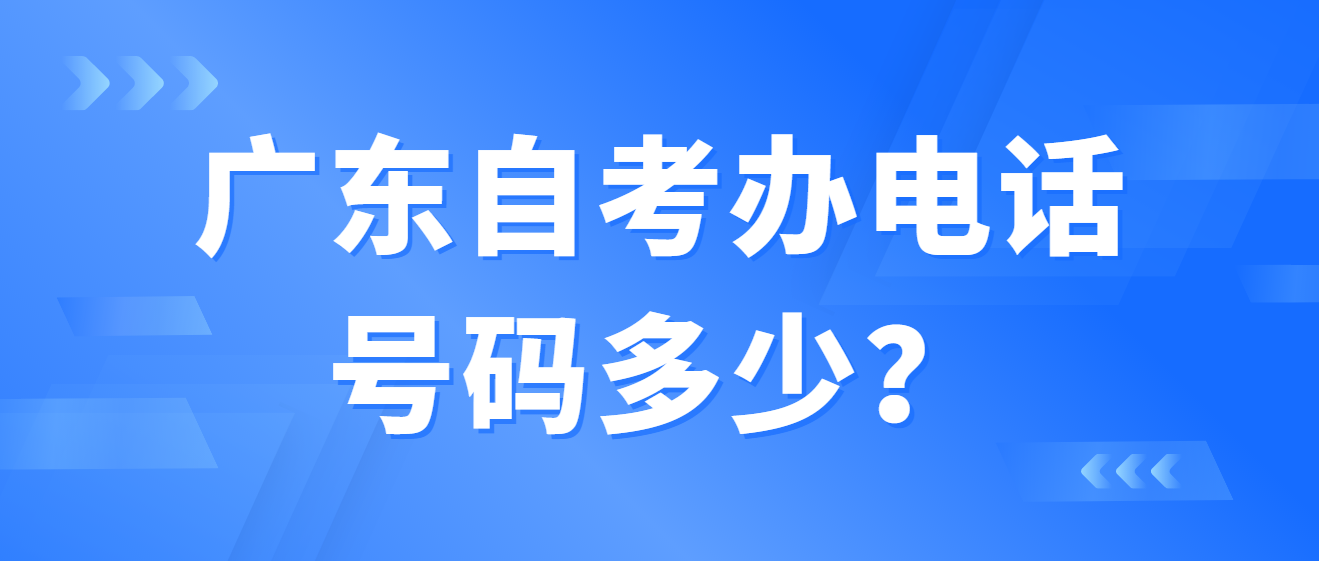 广东自考办电话号码多少？