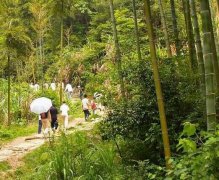 广州市湾里区自考报名地址在哪里