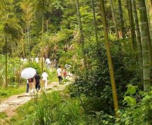 广州市湾里区自考报名地址在哪里