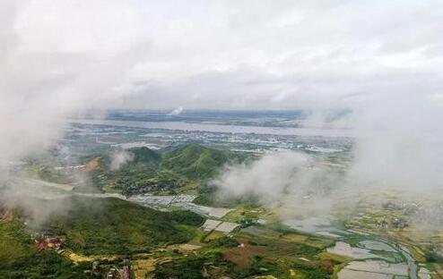 佛山市柴桑区自考报名地址在哪里(图1)