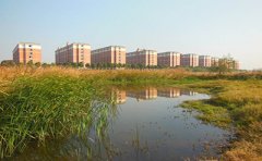广东理工大学2019年自考主考科目