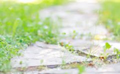 中山自考报考公务员有限制吗