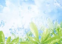 中山自考需要的要求和资格是什么