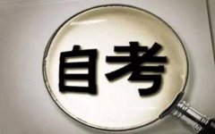 广东自学考试相关考试科目是不是申请考试的时候尽可能多地交叉选择最好呢