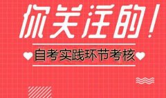 广东自考课程实践考核如何考？考试形式是？